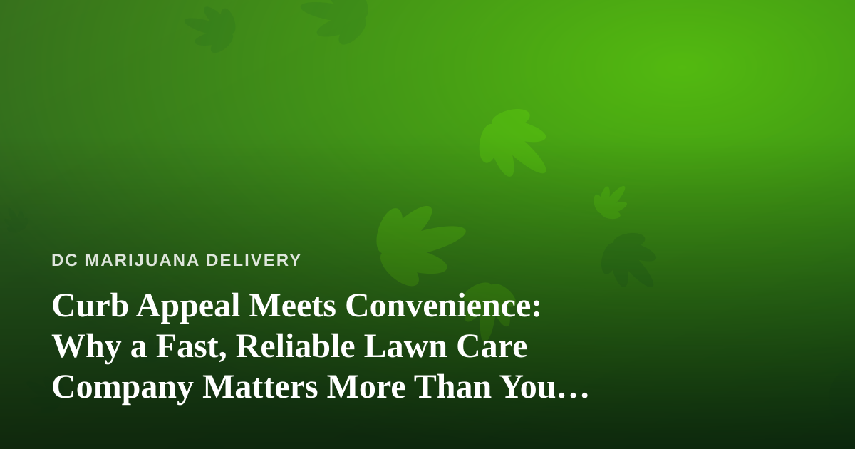 Curb Appeal Meets Convenience: Why a Fast, Reliable Lawn Care Company Matters More Than You Think